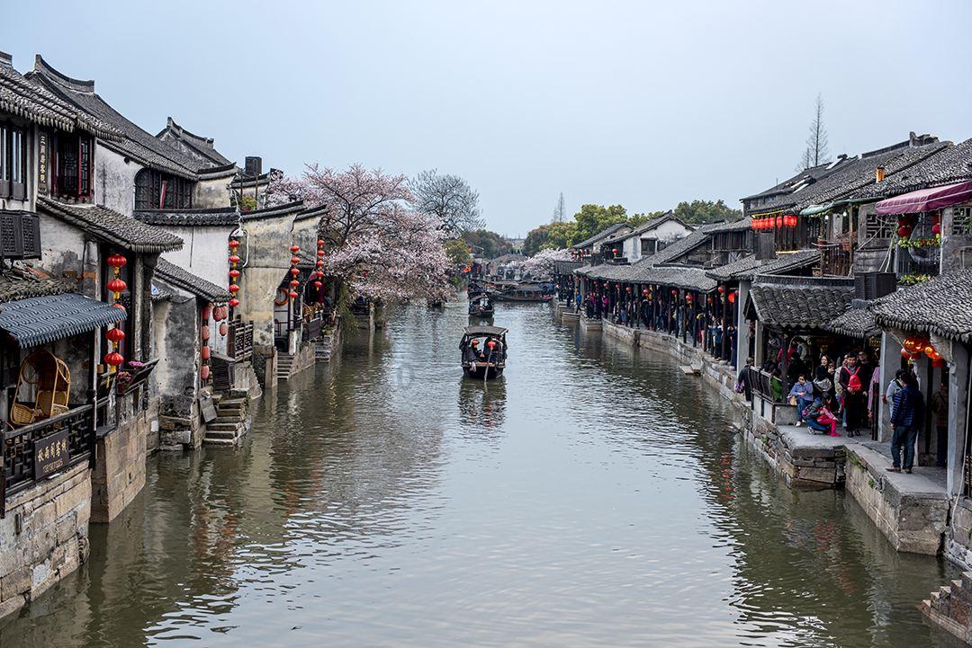 小仓鼠吃瓜子